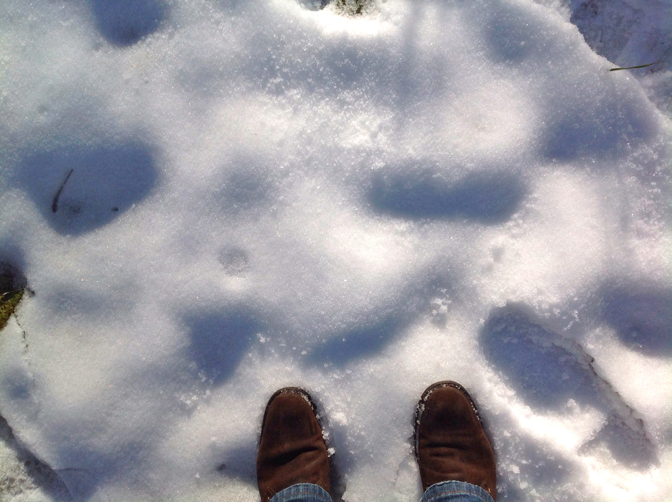 Pisadas en la nieve